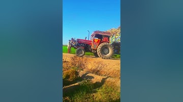 #viral#Bari mushkil sa trolley oltany sa sachi😥#375 or 260 ki kamal performance👍#Waqas jutt official