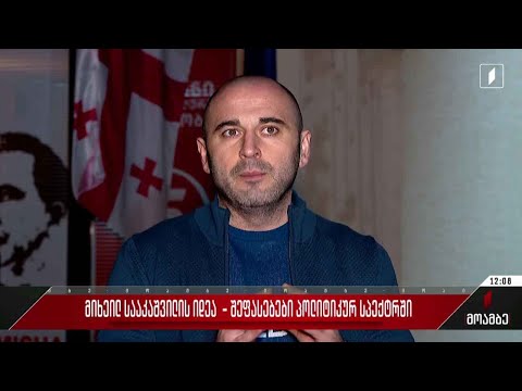 მიხეილ სააკაშვილის იდეა - შეფასებები პოლიტიკურ სპექტრში