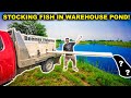 Stocking my WAREHOUSE Pond for the FIRST TIME!!!