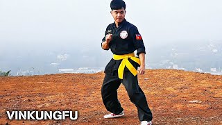 Kỹ thuật di chuyển chiến đấu trong Võ Cổ Truyền | Vinkungfu