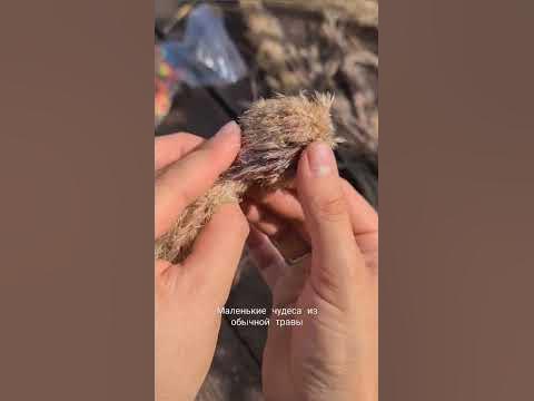 Маленькие чудеса из обычной травы😍 - YouTube