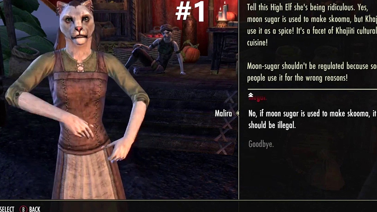 The Elder Scrolls Online - Peacemaker Achievement