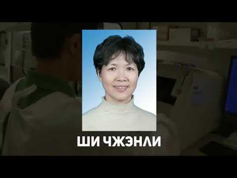 История происхождения коронавируса Covid-19