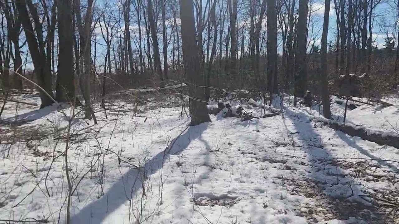 147 Rocktown Rd, Ringoes, NJ | 360° Property View (Winter)