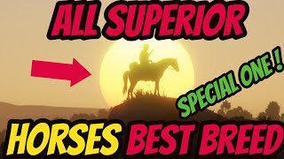 Red Dead Redemption 2 All Superior Horses ! BEST BREED IN THE GAME