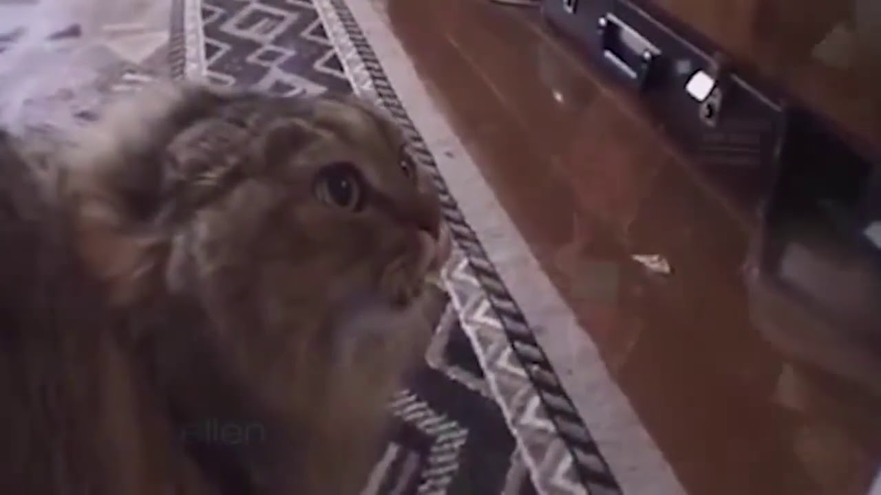 пародист - YouTube