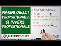 Marimi direct proportionale si invers proportionale