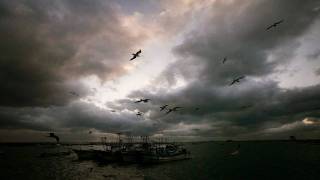 Purcell - Rondeauabdelazar, Or The Moors Revengez. 570 Tafelmu Baroque Orchestra