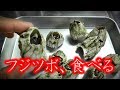 貝？エビ？カニ？青森の隠れた珍味フジツボを食べてみる・・・ Eating delicacy barnacles