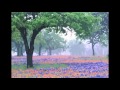 Ой вербо вербо Черемшина Ukrainian Folk Song 