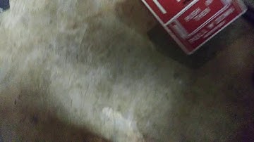 Fire Alarm Shorts: Notifier BGX-101L pull and reset.