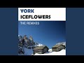 Iceflowers jpl remix