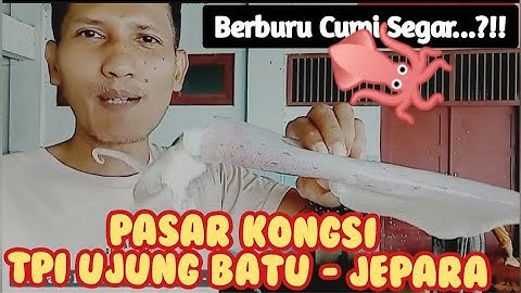 Berburu Cumi Segar?!!Pasar Kongsi-TPI Ujung Batu Jepara