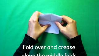 Fortune Teller video.wmv