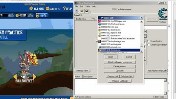Wild Ones Cheats/Hacks Unlimited Ammo *Cheat Engine* - 2013 Undetected