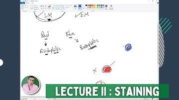 [NEW COURSE] Microtechnique & Microscopy | Lecture 2 "STAINING" | Histology