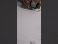 How to make mini water pump at home || dc motor water pump #diyconversion