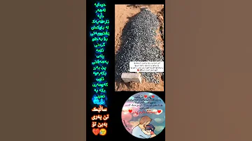 قوربانت بم باوە گیانم وابووی بەساڵ ونیـوێک تۆرۆشـتوی ئێمەت جێ ھێشتوە جێگات بەھەشتی بەرین بێ یاربی 