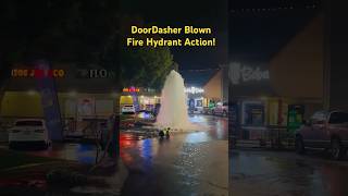 DoorDasher Blown Fire Hydrant Action! #doordasher #firedepartment #flood #emergency
