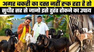 बकरी के दस्त को आसानी से कैसे रोके? Sudhir Sir ने बताया बेस्ट उपाय😇Goat Farming Tips 