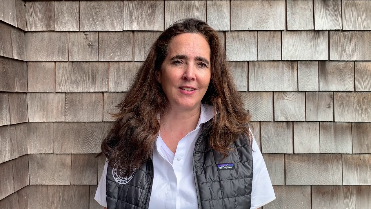 The Opportunity Accelerator Solutions Bank