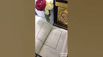 ث م ار ج ع ال ب ص ر ك ر ت ي ن ي نق ل ب إ ل ي ك ال ب ص ر خ اس ئ ا و ه و ح س ير 4 وقوله 