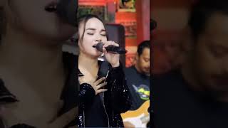 Download Lagu HARTA DAN KESETIAAN TASYA ROSMALA ADELLA MP3 Download Lagu HARTA DAN KESETIAAN TASYA ROSMALA ADELLA MP3