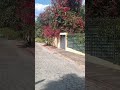que silêncio da rua