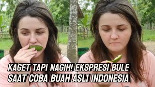 Download Lagu Kaget Tapi Nagih! Ekspresi Bule Saat Coba Buah Asli Indonesia MP3 Download Lagu Kaget Tapi Nagih! Ekspresi Bule Saat Coba Buah Asli Indonesia MP3