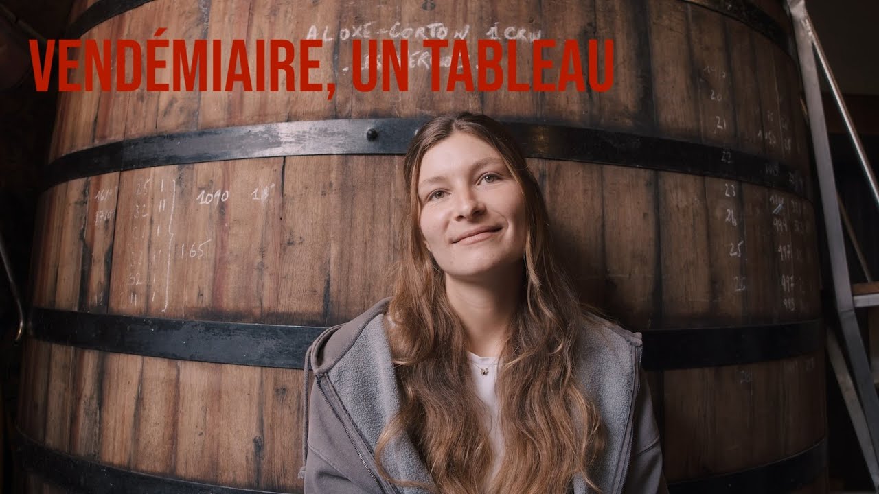 VENDÉMIAIRE, UN TABLEAU (documentaire) – teaser