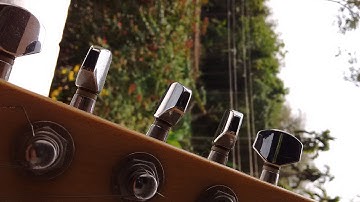 Lava Iris Icon Camera Quality Test