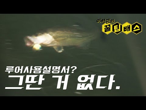 배스낚시 루어 운용, 고정관념을 버려야 하는 이유 Bass Fishing