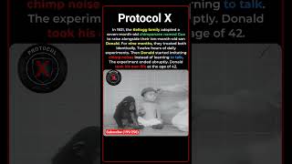 The Monkey Psychology Experiment 🐒😨