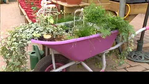 Parkland Nurseries Greenhouse