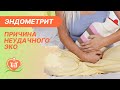 🔴 Эндометрит - причина неудачного ЭКО