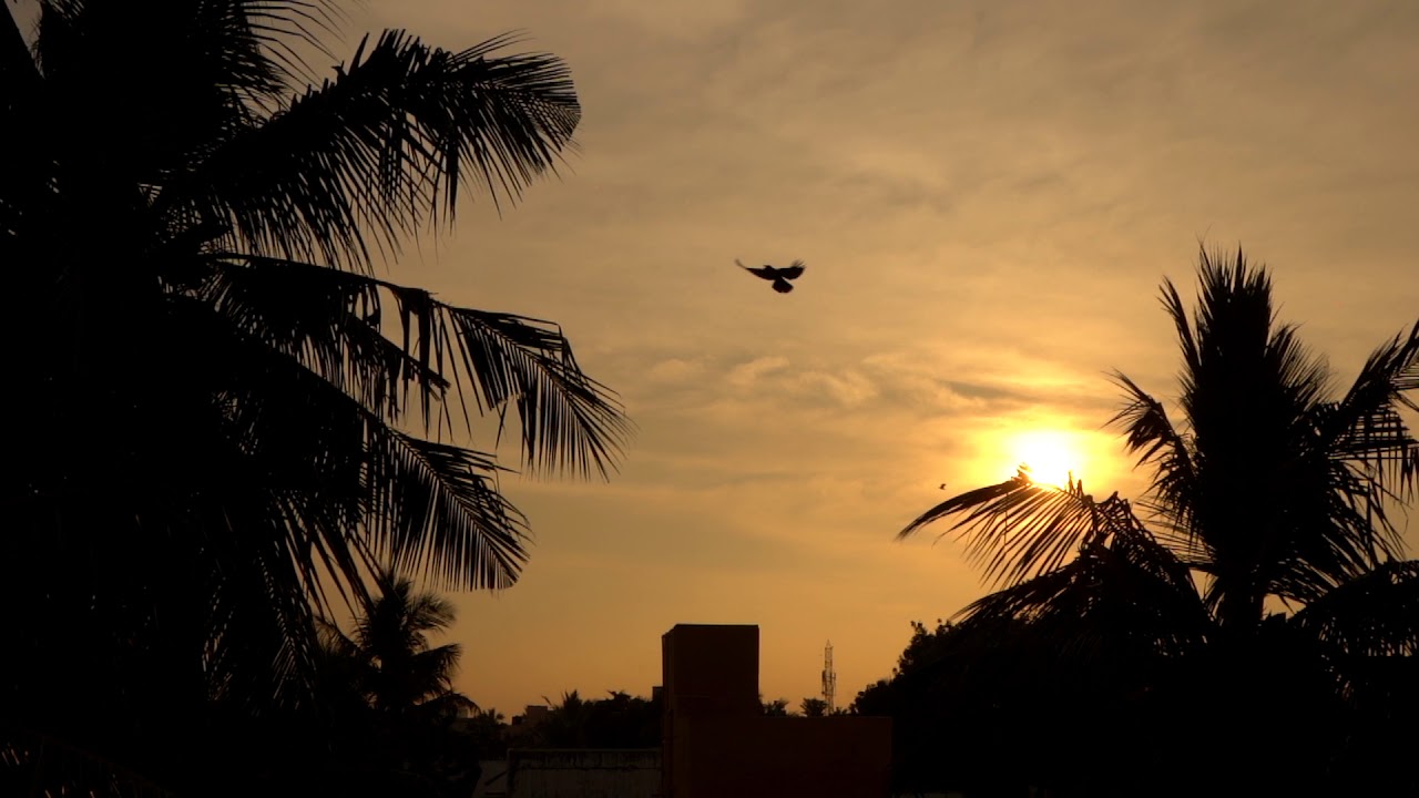 Sunrise at Terrace | Slow motion | Royalty Free HD Stock Video