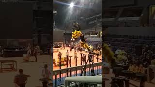 Jatuh saat latihan barongsai tiang #fobi#1stFOBIWorldChampionship2024 #liondance #múalân #mualan