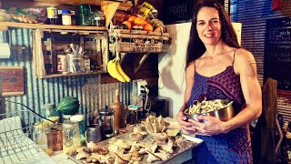 Oyster Mushroom Foraging and Preservation Techniques