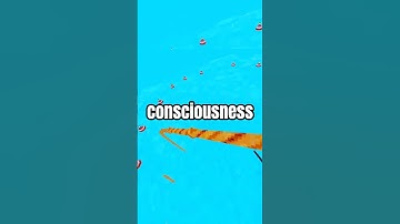 Would You Take This Offer? 🤓 #gorillatag #oculus #vr #gtag #shorts #viral #offer #would #gaming