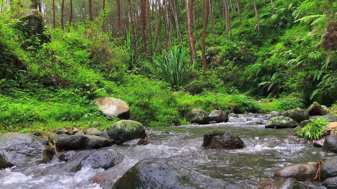 Flow of Calm – River Sounds for Deep Focus, Mind Balance & Stress Relief