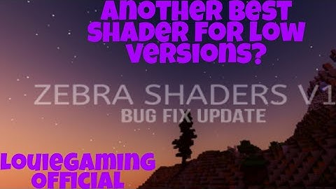Zebra Shaders Bug Fix😲/ Minecraft
