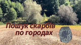 картинка: Коп скарбів по городах