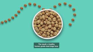 Whole Food Clusters 100% Human Grade Dry Dog Food | Better Than Kibble (The Honest Kitchen)