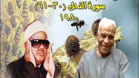 الشيخ / عنتر سعيد مسلم $ سورة النحل (30-61)(وقيل للذين اتقوا ما أنزل ربكم قالوا خيرا) عام 1980م