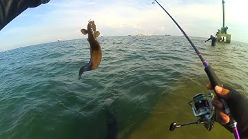 CUKUP SAYA KORBANYA,kondisi  saya setelah terkena patil ikan sembilang !!!