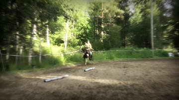 Greetings From Horseback  |  UnReal World developers video greetings