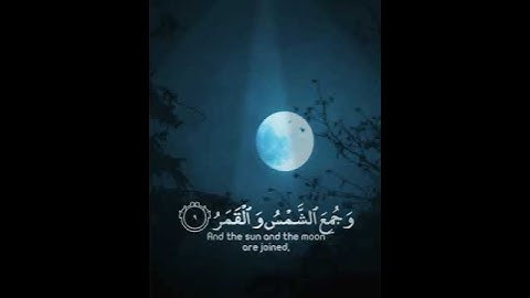 #قرآن #تلاوات خاشعة لجميع محبي القرآن الكريم