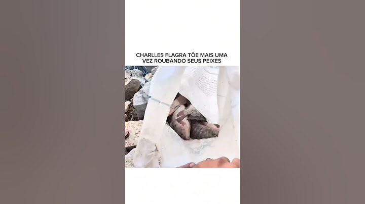 CHARLLES FLAGRA TÕE MAIS UMA VEZ ROUBANDO SEUS PEIXES#tiringamemes #humor #tiringaoficial