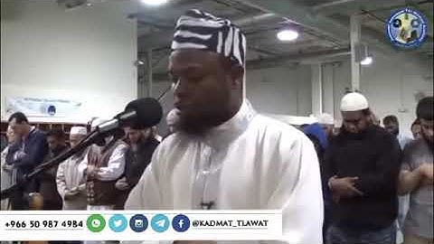 " إِنَّ الأبْرَارَ لَفِي نَعِيمٍ " الشيخ عكاشة كمينى برواية رويس عن يعقوب