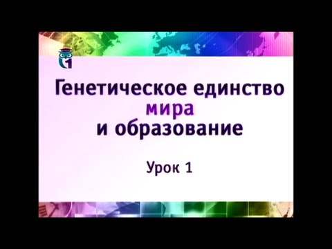 Наука и образование. Урок 1. Живое дерево науки. XVI - XXI века